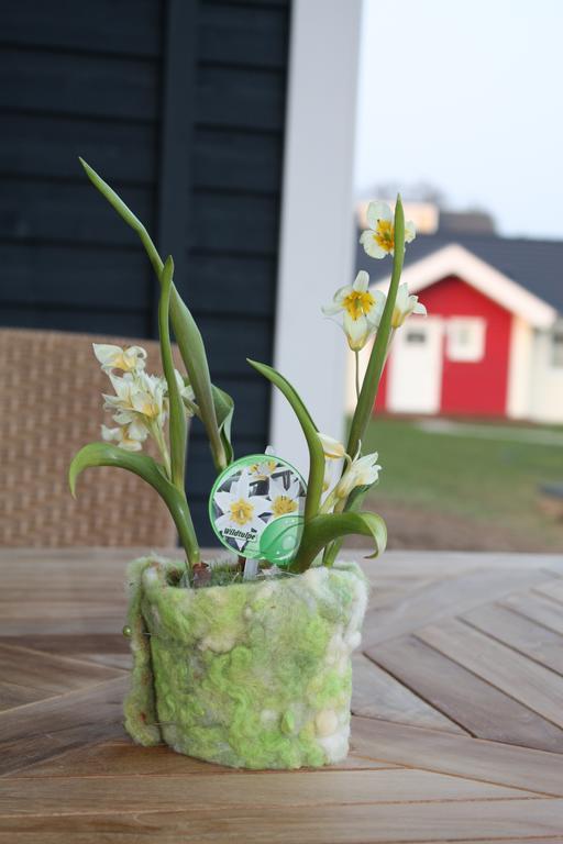 Ferienhaus Heimathafen Sierksdorf Oda fotoğraf